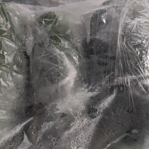 ズッキーニの冷凍保存解凍方法